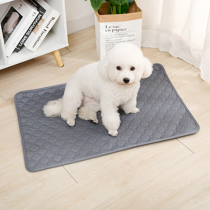 Tapete Reutilizável para Cães, - Mattress Protector Waterproof avaliação e preço